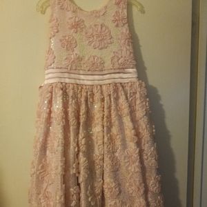 Light pink size 16 American Princess dress never worn